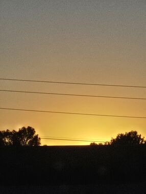 Meet your Posher, Terry